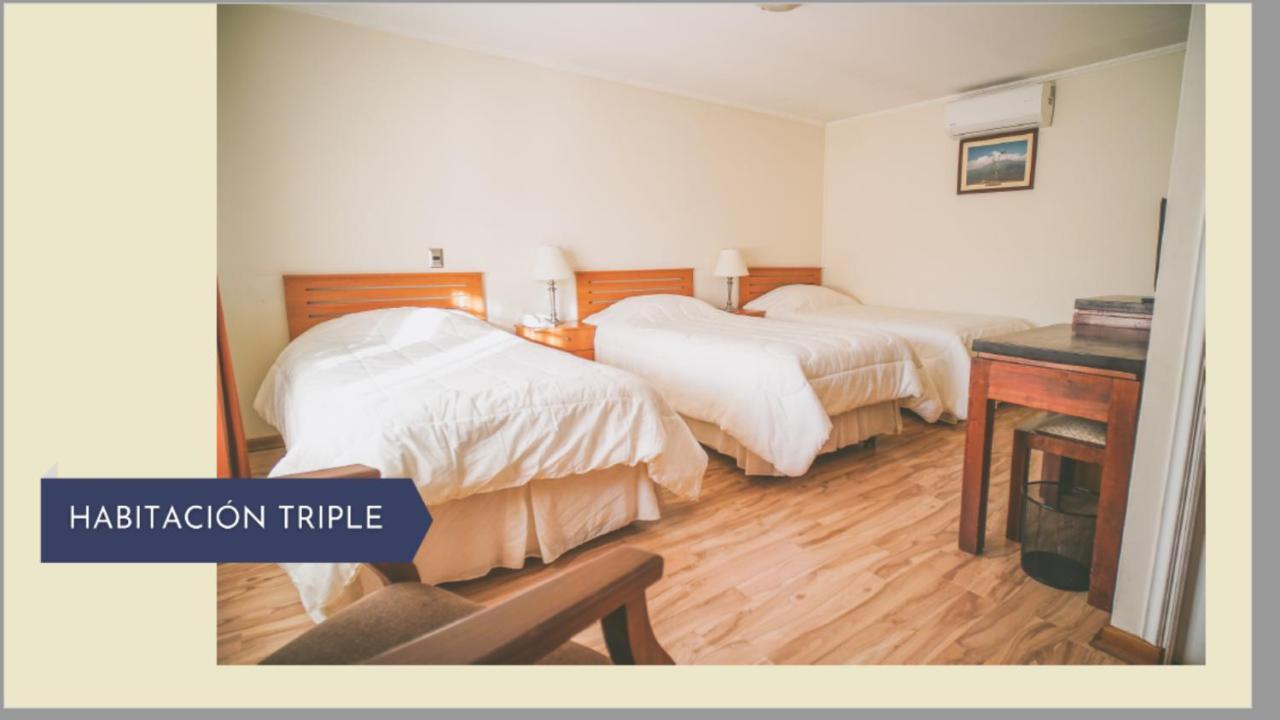 Hotel Punakora Aconcagua San Felipe Dış mekan fotoğraf
